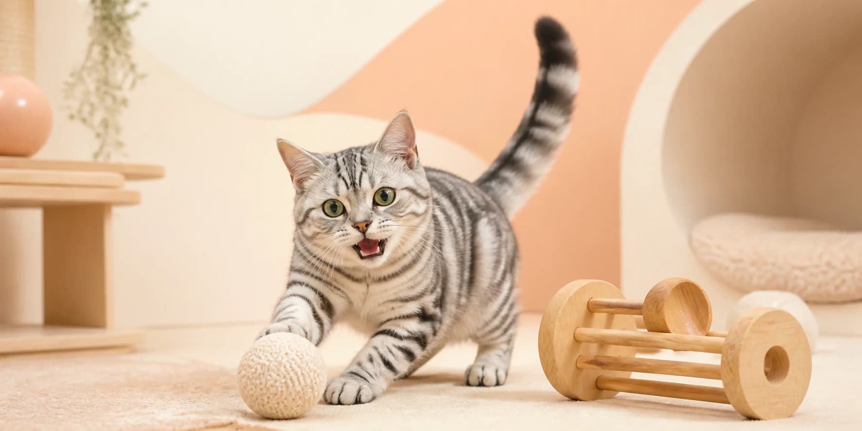 Happy cat relaxing in a warm pet-care room
